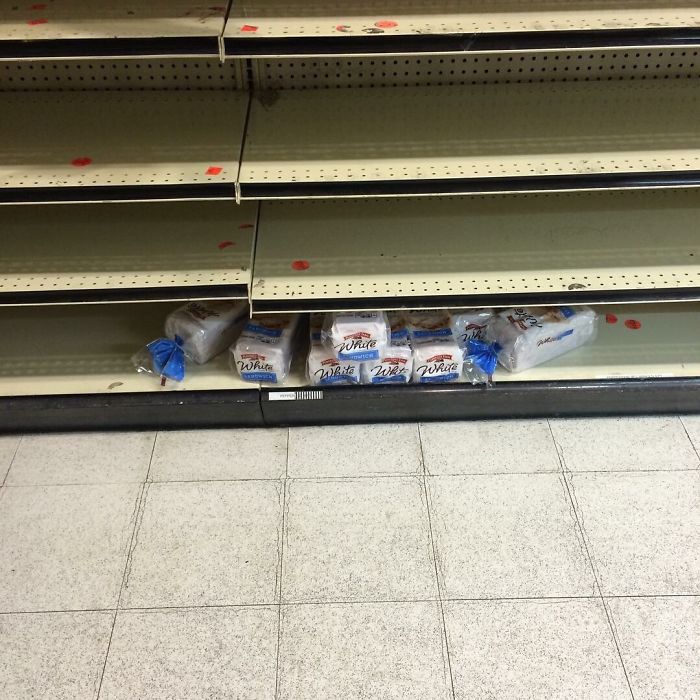 Blizzard Or Not, Brooklyn Residents Do Not Accept White Bread