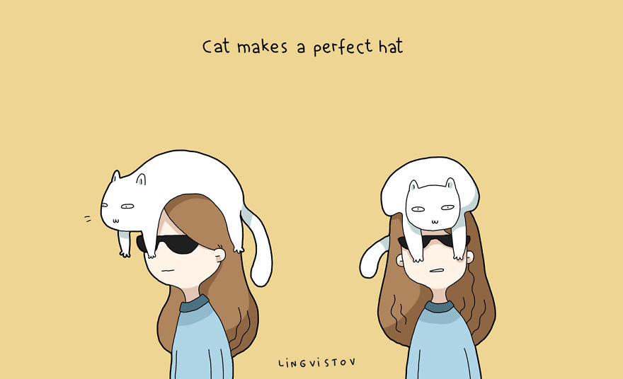 Kočky