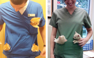 15+ Benefits Of Working At An Animal Hospital