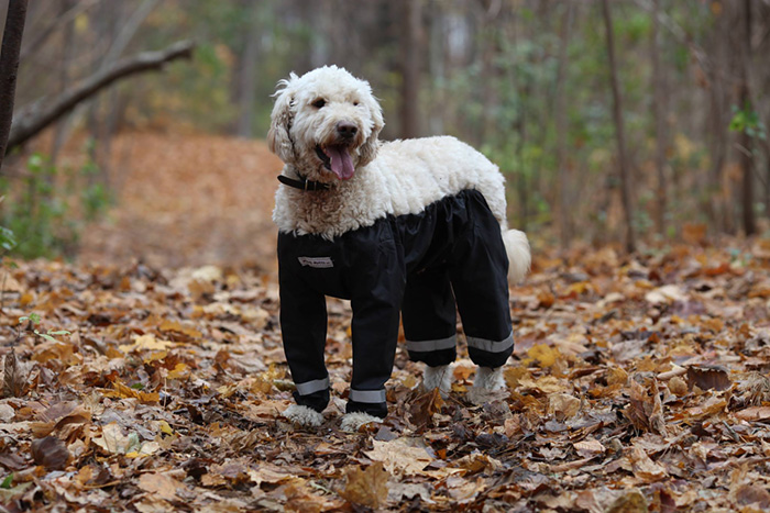 dog-pants-muddy-mutts-dog-apparel-13