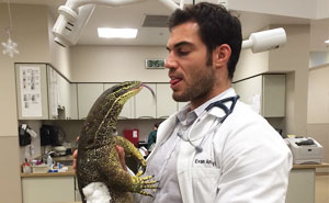 The Hottest Animal Doctor Ever That'll Make You Want To Get Your Pet Checked