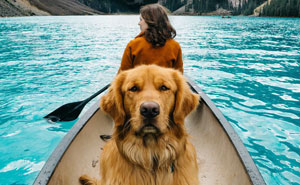 Human Takes His Dog On Epic Adventures, Proves That Dogs Are The Best Travel Buddies
