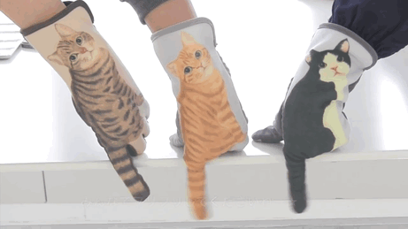 Kedi eldivenler dokunmatik ekran-felissimo-you-daha-gif-2