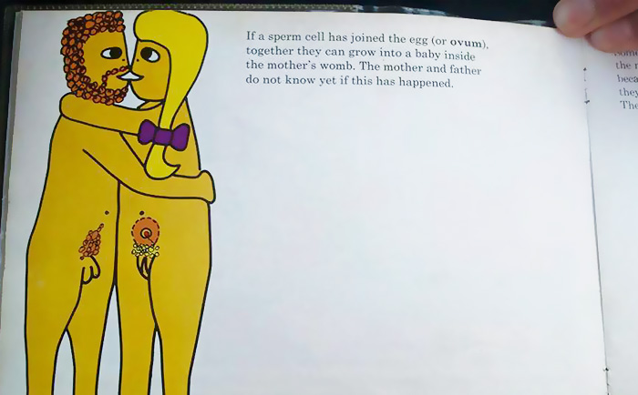 Swedish Sex Education Picture Books