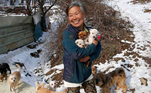 This South Korean Woman Is Raising 200 Dogs She Rescued From Being Killed