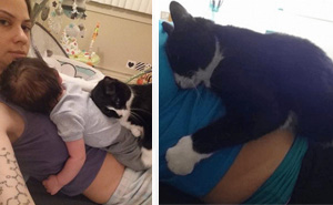 This Cat Has Been Guarding Her Little Human Since Before He Was Born