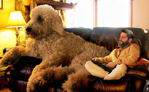 Photographer Photoshops His Dog Into A Giant