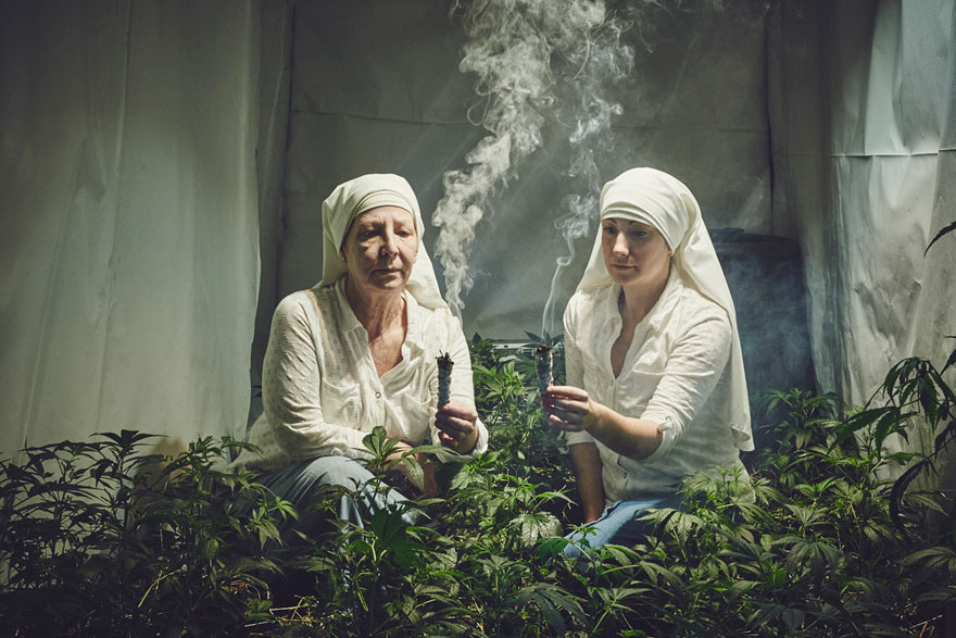 Duchovné sestry pestujú marihuanu a chcú vyliečiť svet!