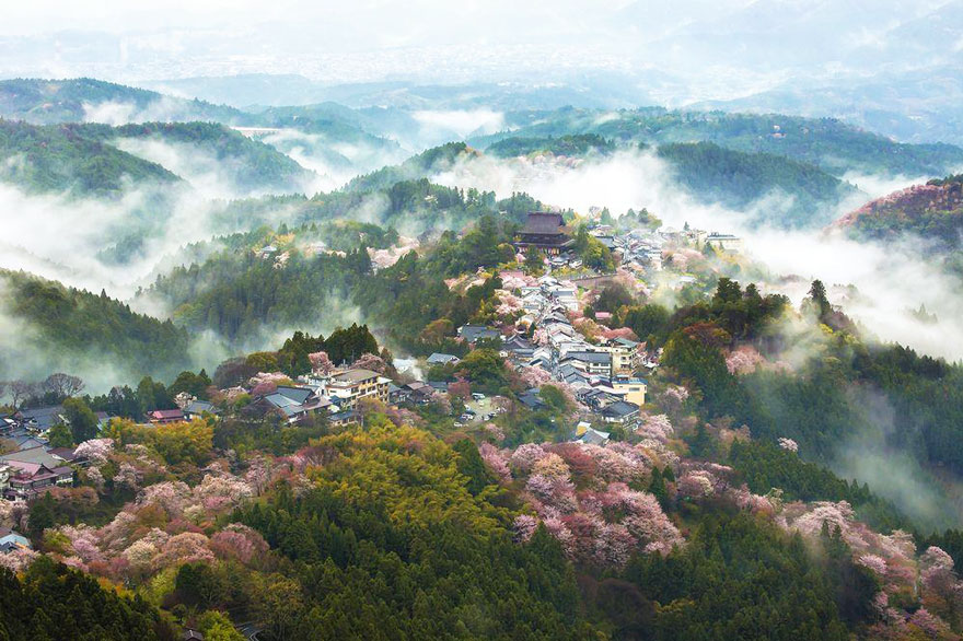spring-japan-cherry-blossoms-national-geographics-24