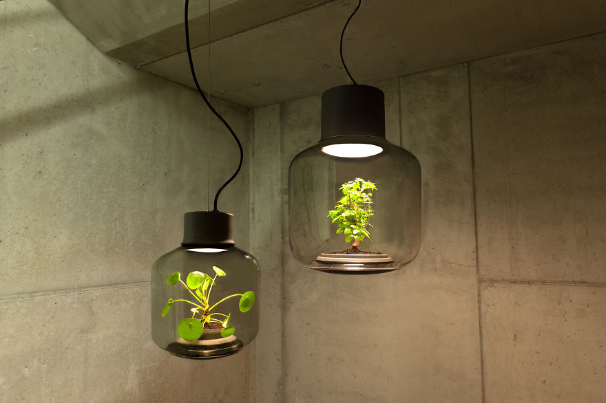 These lamps defy the rules of nature, can grow plants without water or light