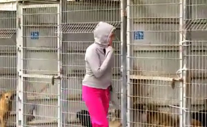 This Woman Couldn't Decide Which Dog To Adopt So She Bought The Entire Shelter