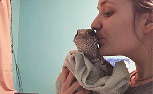 This Lizard Proves That Reptiles Can Be Cute Pets Too