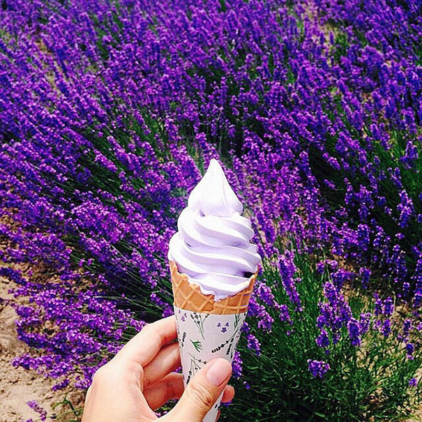 Ice Cream, Japan