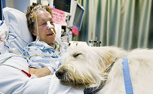 Hospital Lets Pets Visit Their Sick Humans To Make Them Feel Better