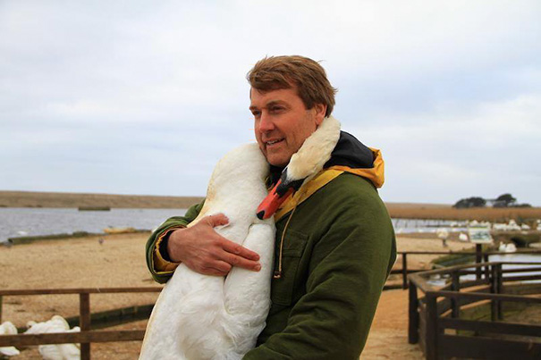 Muž zachránil labuť, tá sa mu odvďačila vrelým objatím
