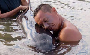 Surfers Hear A Crying Baby Whale, Spend 6 Hours Saving Her