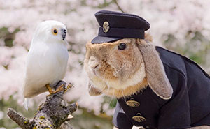Meet PuiPui, The World's Most Stylish Bunny (10+ Pics)