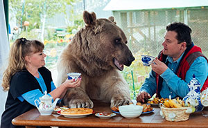 Russian Couple Adopted An Orphaned Bear 23 Years Ago, And They Still Live Together