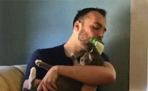 You Can Finally Lick Your Cat With This Innovative Pet Brush