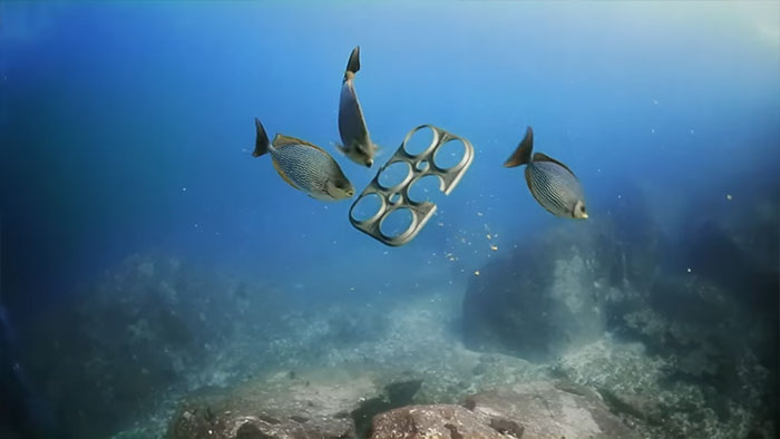 edible-six-pack-beer-rings-safe-for-marine-life-saltwater-brewery-6