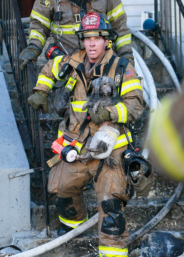 Firefighter Ray Spellmyer Carries A Poodle Named Joseph Out Of A Burned Out Building