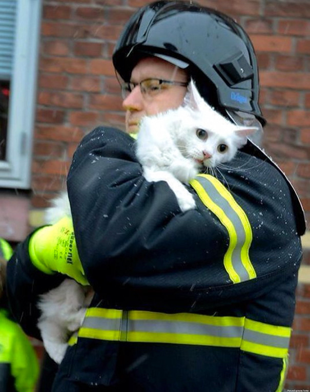 A Firefighter In Denmark Rescues A Cat From A Burning House