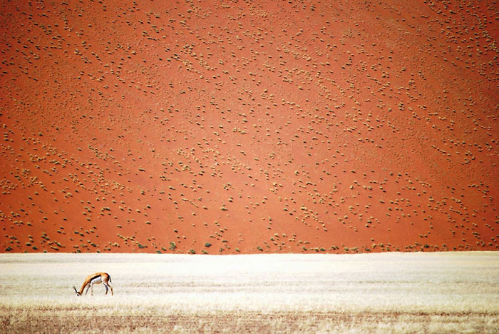 Namibian Desert, Namibia