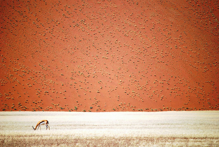 Namibian Desert, Namibia