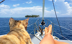 Woman Quits Her Job And Sails Around The World With Her Rescue Cat