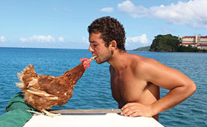 Chicken Sails Around The World With Her Human Friend