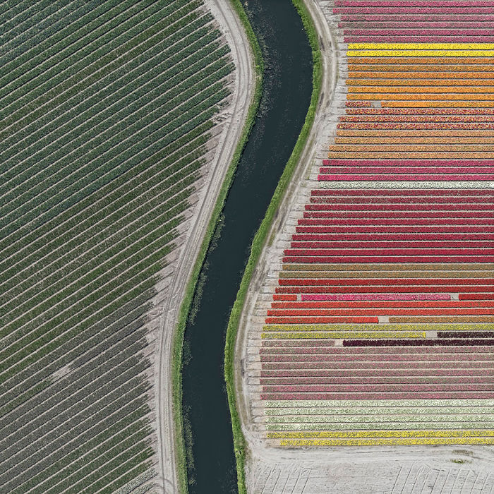 tulip-fields-aerial-photography-netherlands-bernhard-lang-577274eaa0bfa__700.jpg
