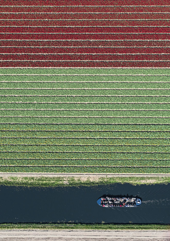 tulip-fields-aerial-photography-netherlands-bernhard-lang-5773d99b16610__700.jpg