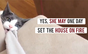 Cat Rejected By 5 Previous Owners Finally Finds A Human That Loves Her
