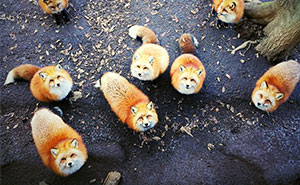 2016 iPhone Photography Award Winners Prove Again Amazing Photos Can Be Taken Without Expensive Camera