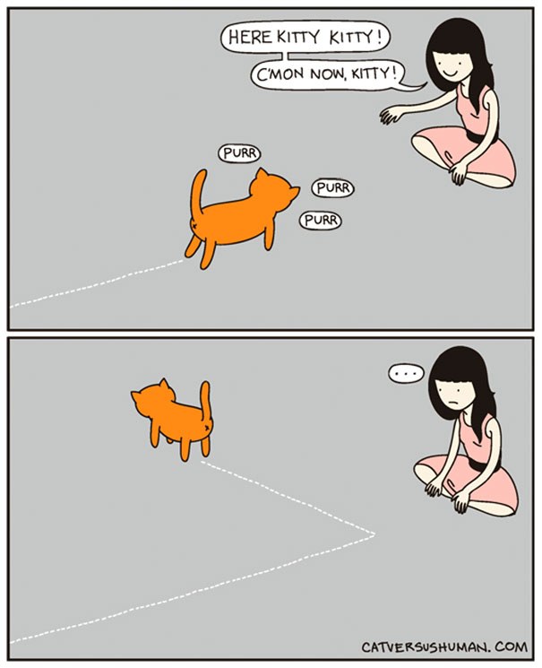 15+ Hilarious Comics That Perfectly Capture Life With Cats