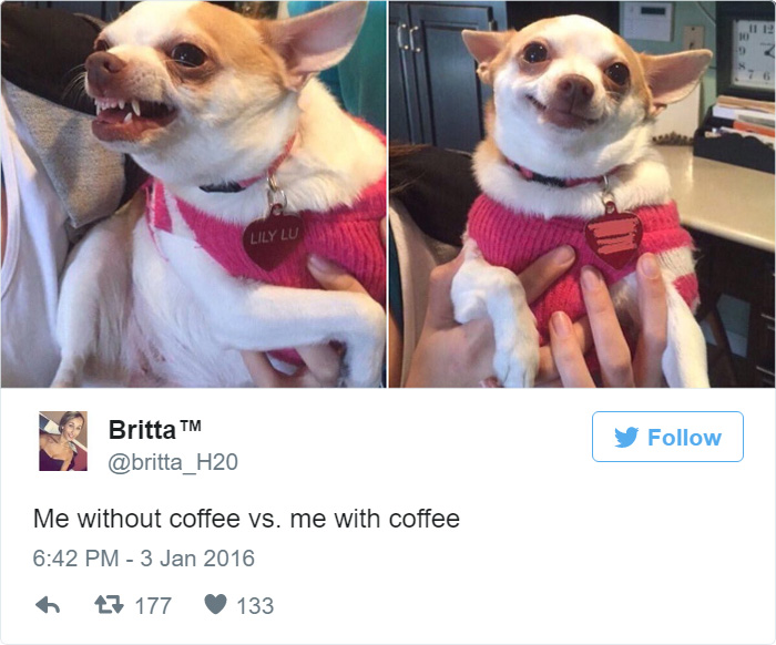 Hilarious Tweets For Coffee Addicts Across The Globe
