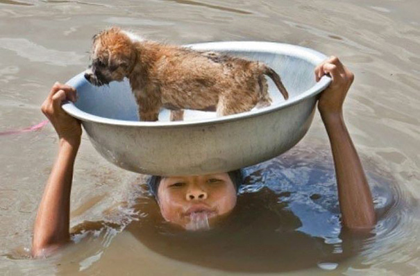 Esta menina filipina Jovem tentando manter a filhote de cachorro seguro durante uma inundação