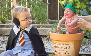 Harry Potter-Themed Newborn Photo Shoot With A Screeching Mandrake Baby Goes Viral