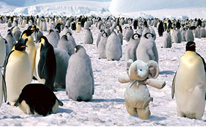 Parents Tell Boy His Favorite Toy Isn't Lost But Traveling The World, Internet's Response Is Amazing