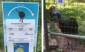 Zookeeper Can't Take It Anymore, Decides To Add Pokemon Go Signs Next To Animals