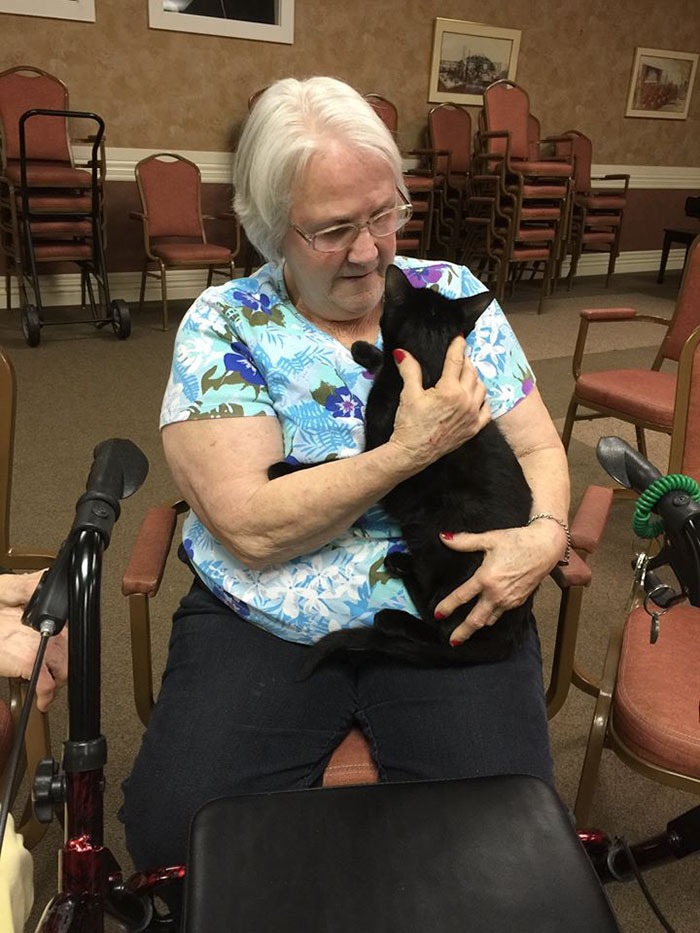 senior-cats-visit-nursing-home-pals-ohio-alleycat-resource-2