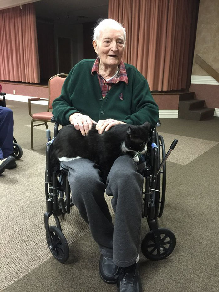 senior-cats-visit-nursing-home-pals-ohio-alleycat-resource-3