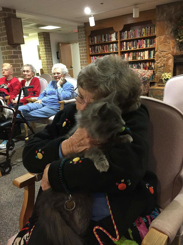 senior-cats-visit-nursing-home-pals-ohio-alleycat-resource-5