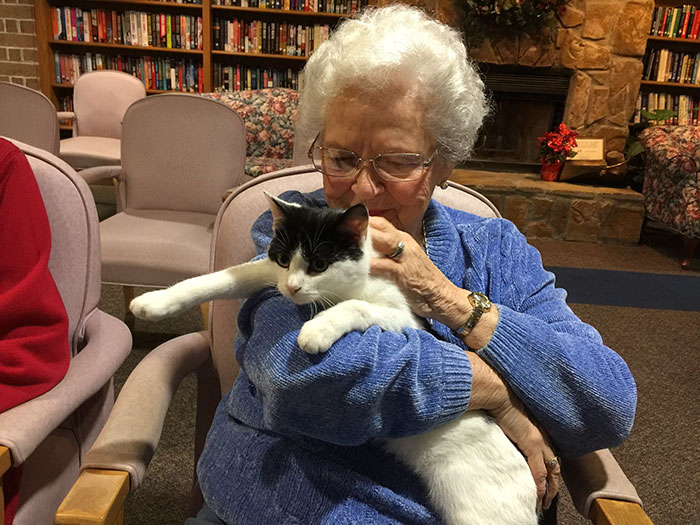 senior-cats-visit-nursing-home-pals-ohio-alleycat-resource-6
