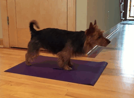 Judy Practices Yoga On Her Mat
