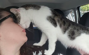 Cat Rescued Hours Before Death Row, Can’t Stop Thanking His Rescuer On Their Way Home