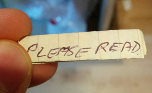 Cat Owner Finds A Note Attached To Its Collar, Learns Her Secret