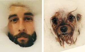 This Twitter Finds People's Dog Doppelgängers And It's Hilarious