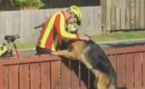 Hidden Cam Records Postman's Heartwarming Daily Routine With Misunderstood Dog