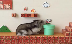 Super Hamster Bros.